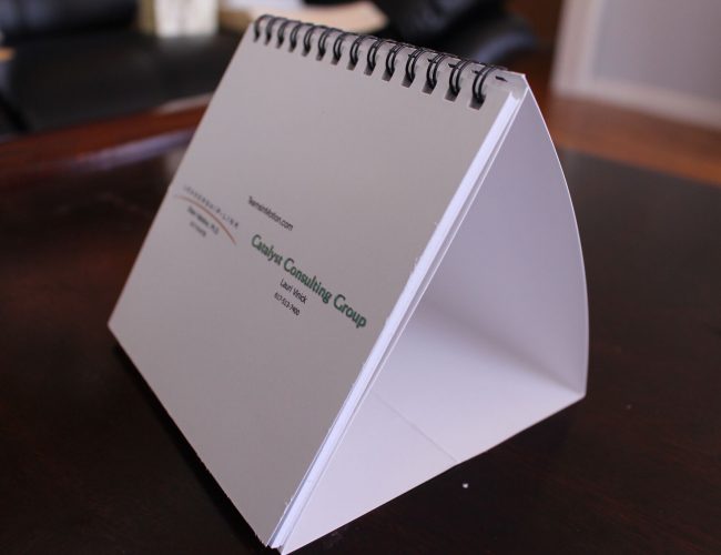 Catalyst Consulting Group